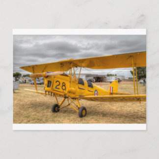 Tiger Moth 80Th Anniversary Fly-in Postcard