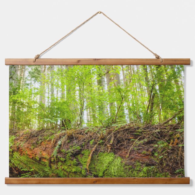 Tiger Mountain | Issaquah, Washington State Hanging Tapestry (Front)