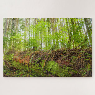 Tiger Mountain   Issaquah, Washington State Jigsaw Puzzle