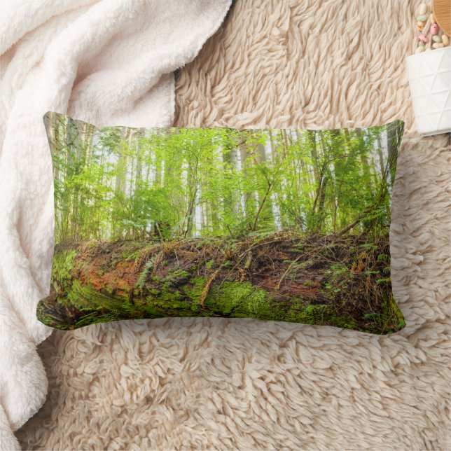 Tiger Mountain | Issaquah, Washington State Lumbar Cushion (Blanket)