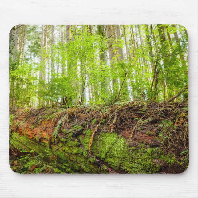 Tiger Mountain | Issaquah, Washington State Mouse Pad (Front)