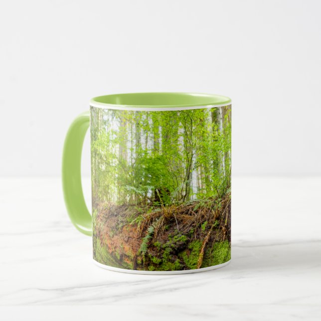 Tiger Mountain | Issaquah, Washington State Mug (Front Left)