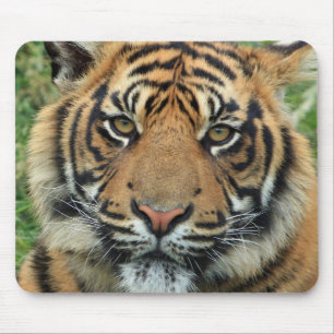 Tiger Mouse mat