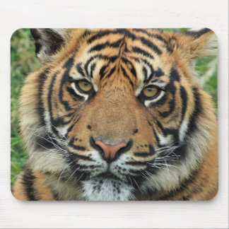 Tiger Mouse mat