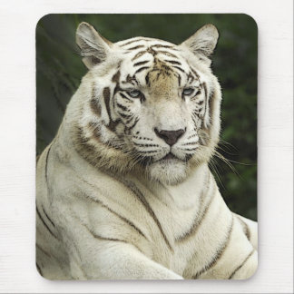 tiger mouse pad
