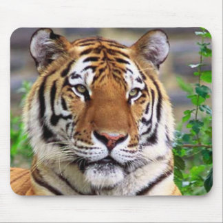 Tiger Mouse Pad