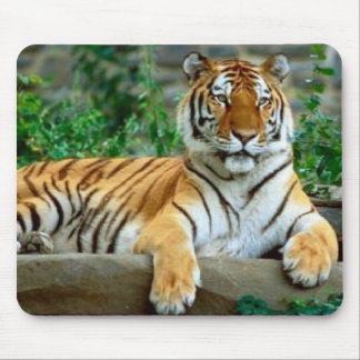 Tiger Mouse Pad