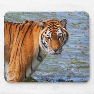 Tiger Mouse Pad