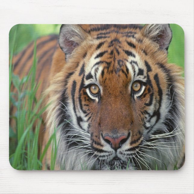 Tiger Mouse Pad (Front)