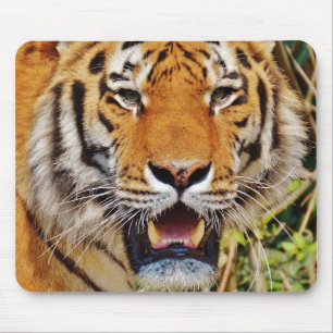 Tiger Mouse Pad