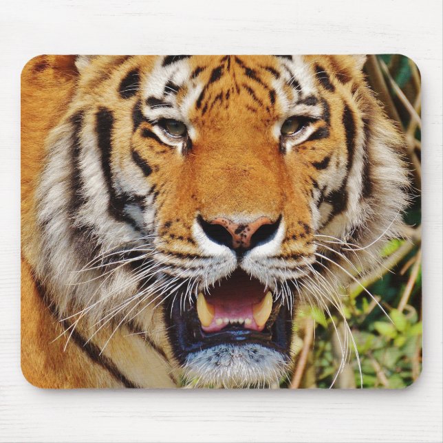 Tiger Mouse Pad (Front)