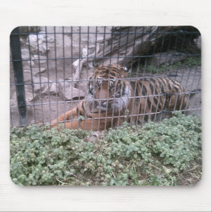 Tiger Mouse Pad