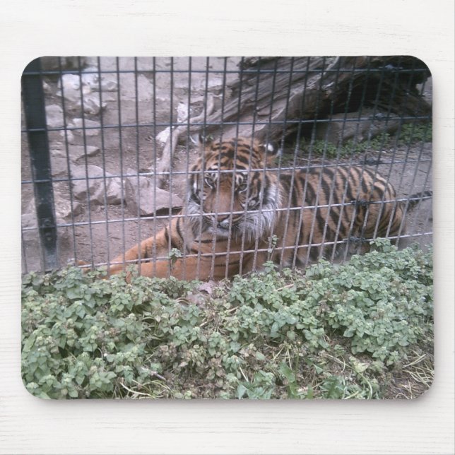 Tiger Mouse Pad (Front)