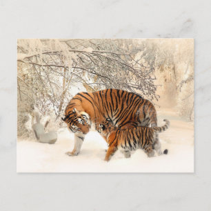 tiger mum and baby postcard