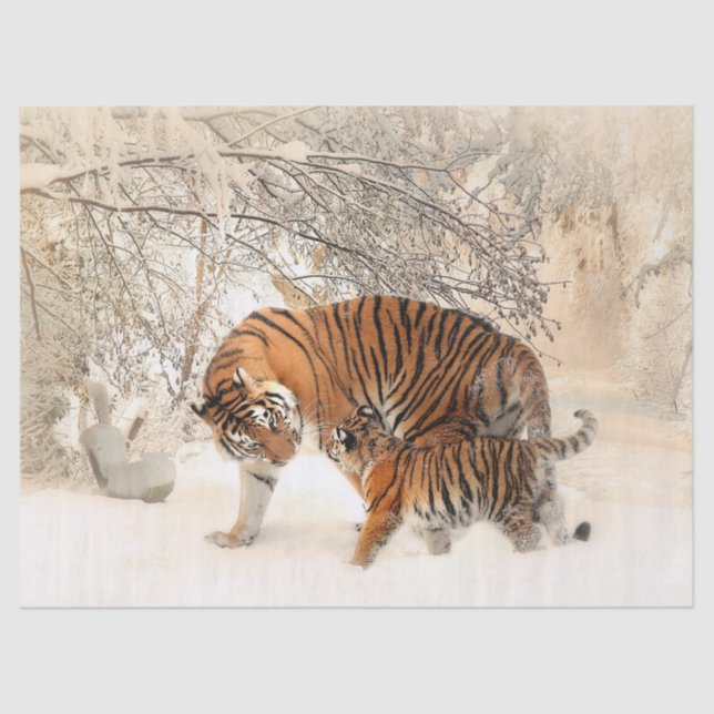 tiger mum and baby tissue paper (Front)