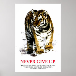 Tiger Never Give Up Motivational Poster