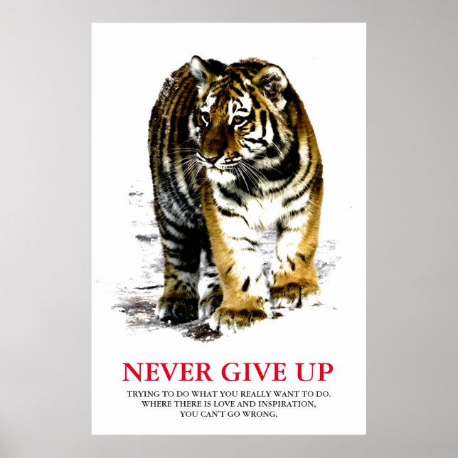 Tiger Never Give Up Motivational Poster (Front)