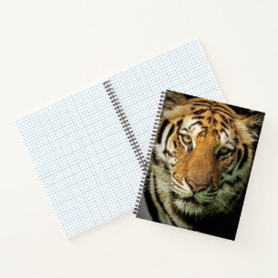 tiger notebook