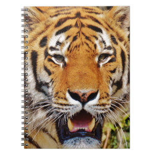 Tiger Notebook