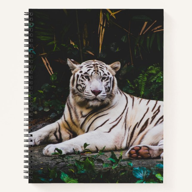 Tiger Notebook (Front)