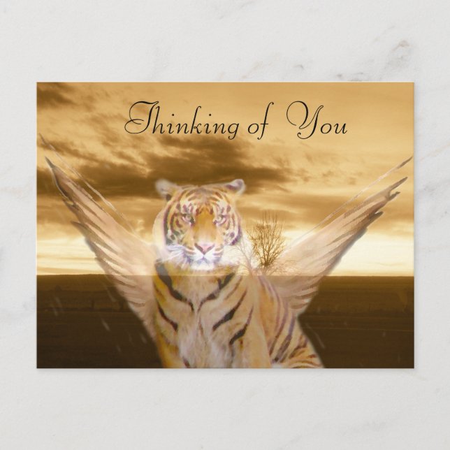 Tiger of Love_ Postcard (Front)
