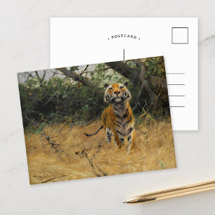 Tiger on The Watch   Wilhelm Kuhnert Postcard