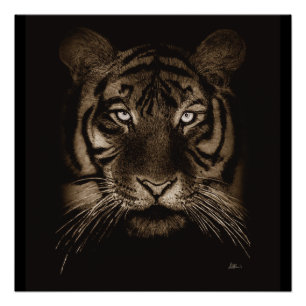 Tiger Original Art Poster Print