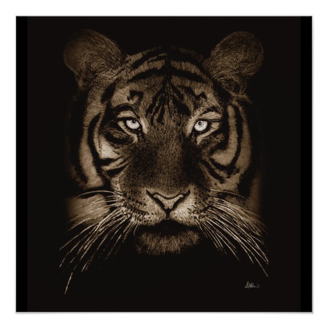 Tiger Original Art Poster Print (Front)