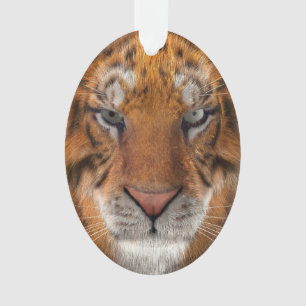 Tiger Ornament