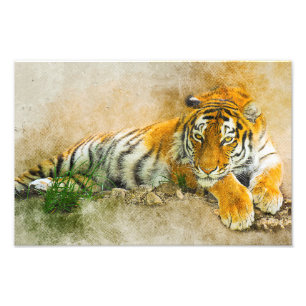 Tiger painting photo print