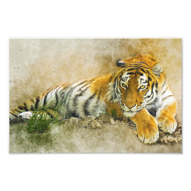 Tiger painting photo print (Front)