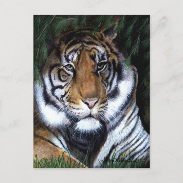 Tiger Painting Postcard (Front)