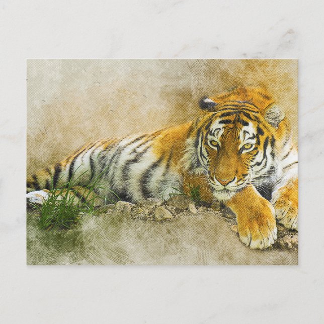 Tiger painting postcard (Front)
