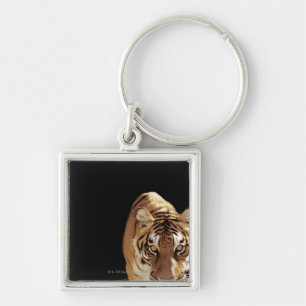 Tiger (Panthera tigris) Key Ring