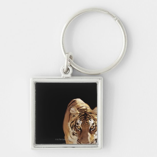 Tiger (Panthera tigris) Key Ring (Front)
