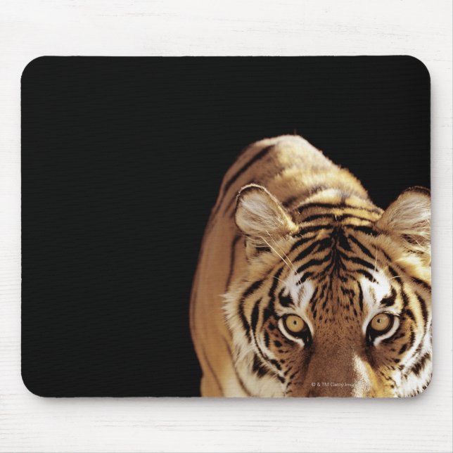 Tiger (Panthera tigris) Mouse Pad (Front)