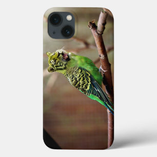Tiger Parakeet iPhone 13 Case