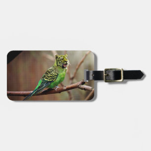 Tiger Parakeet Luggage Tag