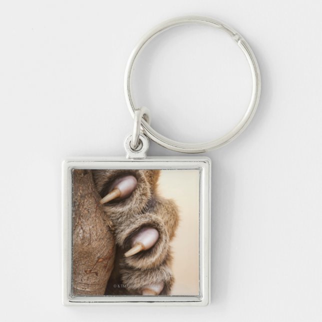 Tiger paw key ring (Front)