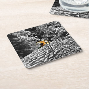 Tiger Peek-a-boo Coaster