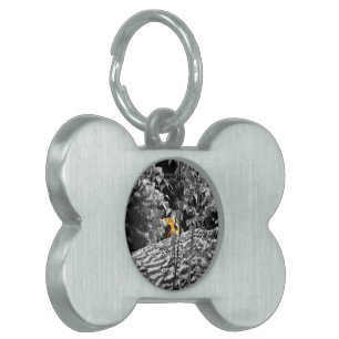 Tiger Peek-a-boo Pet Tag