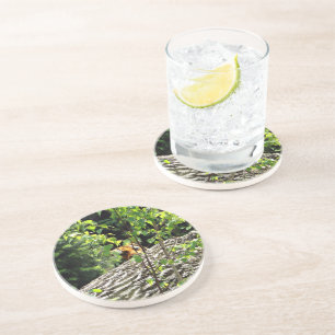 Tiger Peek-a-boo Sandstone Coaster