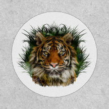 Tiger Peering Through Grass