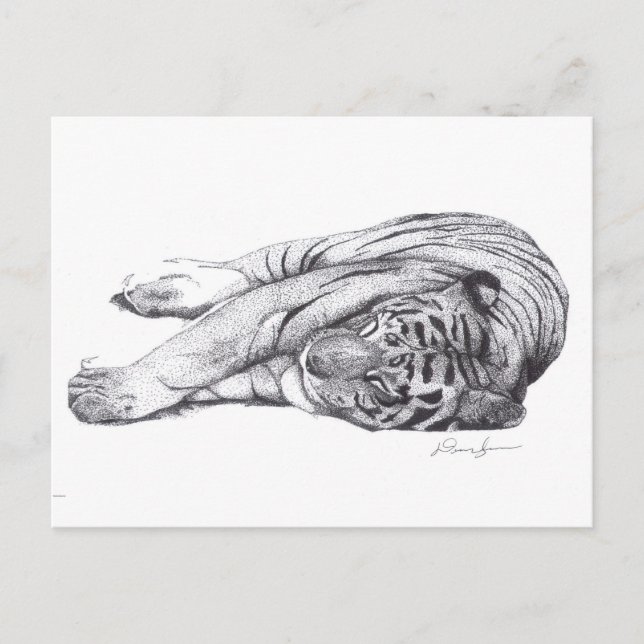Tiger - Pen and Ink Postcard (Front)
