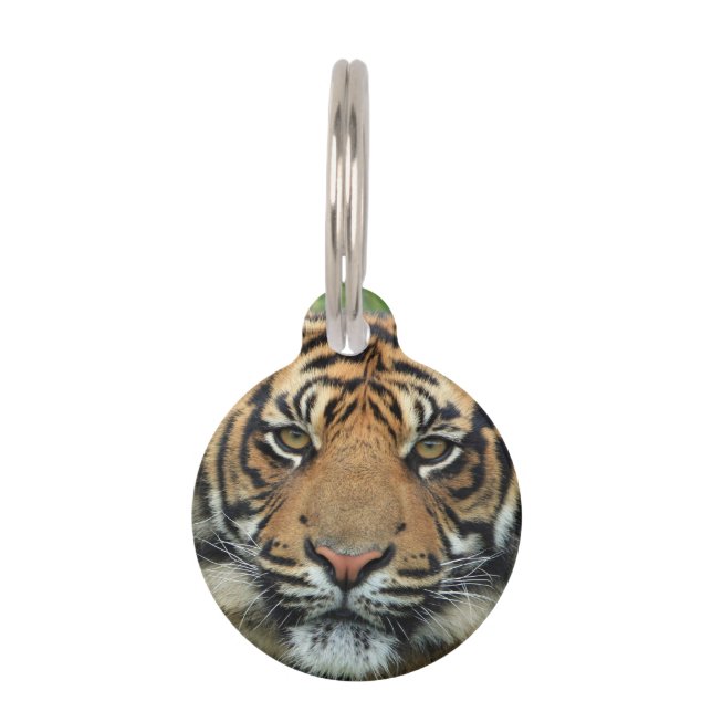 Tiger Pet Tag (Front)