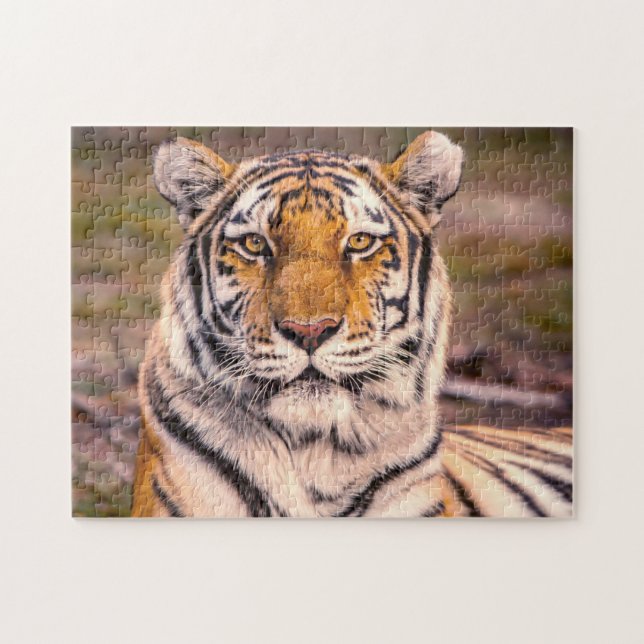 Tiger Photo Portrait Jigsaw Puzzle (Horizontal)