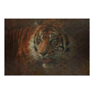 Tiger Photo Print