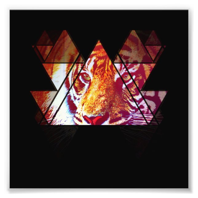 Tiger Photo Print (Front)