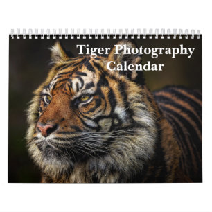 Tiger Photography Wild Animal 2026 Calendar