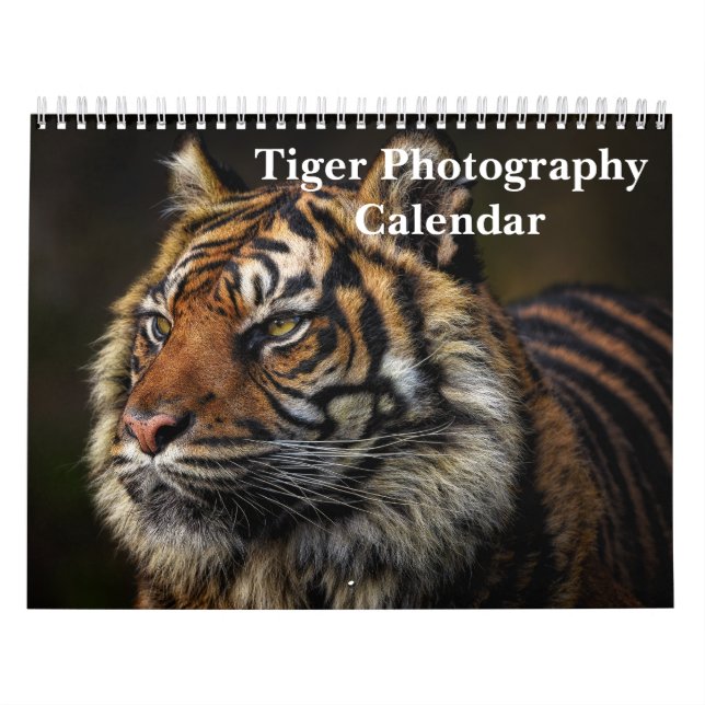 Tiger Photography Wild Animal 2026 Calendar (Cover)
